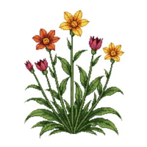 Illustration of Indian Pink