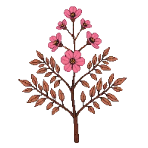 Illustration of Spiraea 'Goldflame'