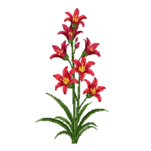 Illustration of Aztec Lily