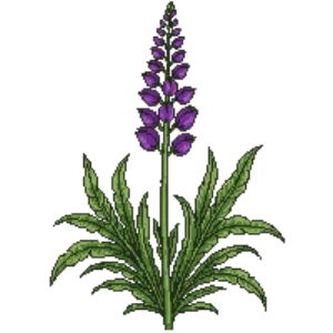 Illustration of Betony