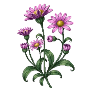 Illustration of New England Aster 'Alma Potschke'