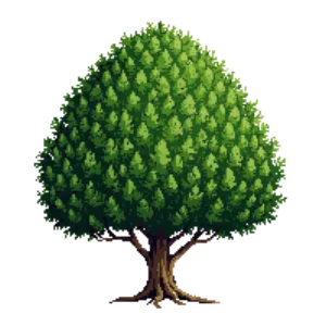 Illustration of Yew 'Densiformis'