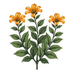 Illustration of Orange Jubilee