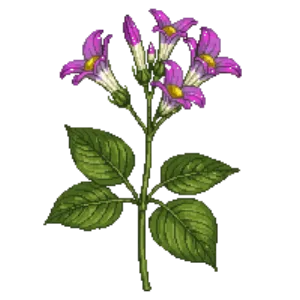 Illustration of Fringecup