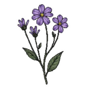Illustration of Meadow Rue 'Black Stockings'