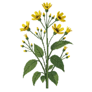Illustration of Prairie Golden Banner