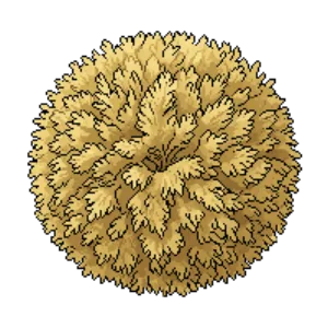 Illustration of Anna's Magic Ball Arborvitae