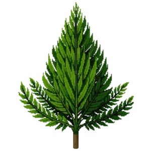 Illustration of Arborvitae 'Emerald Green'