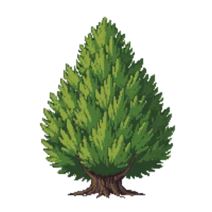 Illustration of Arborvitae 'Hetz Midget'