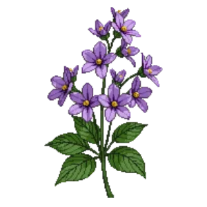 Illustration of Princess Flower