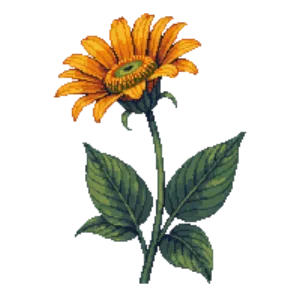 Illustration of Mexican Sunflower