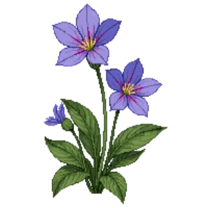 Illustration of Wishbone Flower