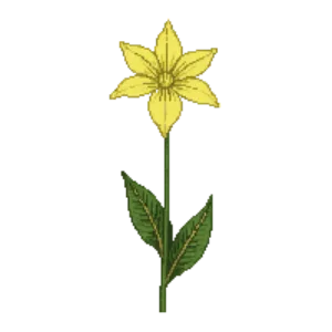 Illustration of Yellow Trillium