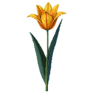 Illustration of Tulip 'Ballerina'