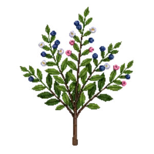 Illustration of Blueberry 'Bluecrop'