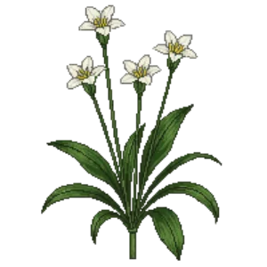 Illustration of Inside-out Flower