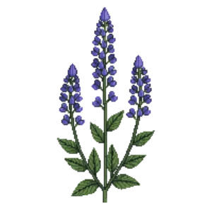 Illustration of Blue Vervain