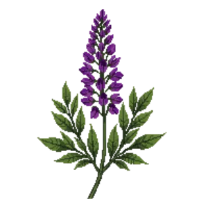 Illustration of Ironweed 'Iron Butterfly'