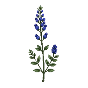 Illustration of Speedwell 'Georgia Blue'