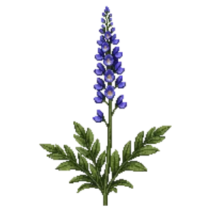 Illustration of Speedwell 'Royal Candles'