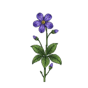 Illustration of Labrador violet