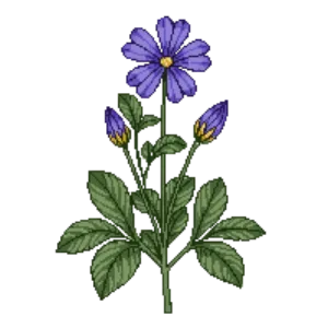 Illustration of Common Blue Violet