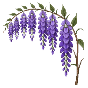Illustration of Japanese Wisteria