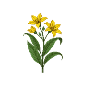 Illustration of Yellow Rain Lily