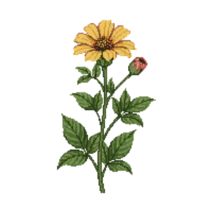 Illustration of Zinnia 'Profusion'