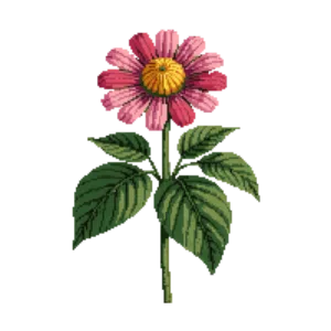 Illustration of Zinnia 'Benary's Giant'