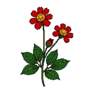 Illustration of Zinnia