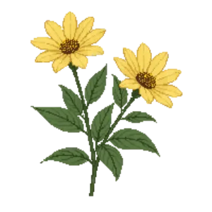Illustration of Prairie Zinnia