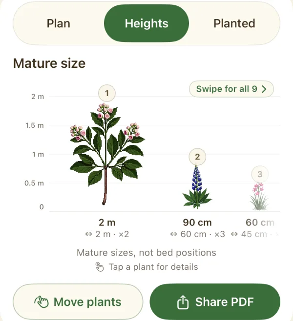 Side-on view of the plants at mature height