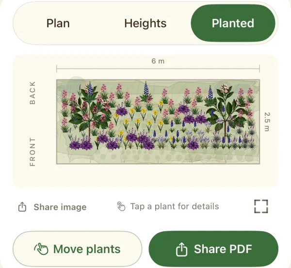 Painted preview of the planted border